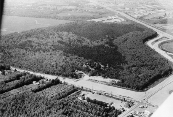 Aerial view of Richmond Nature Park, 1977. City of Richmond Archives Photograph 1978 41 5