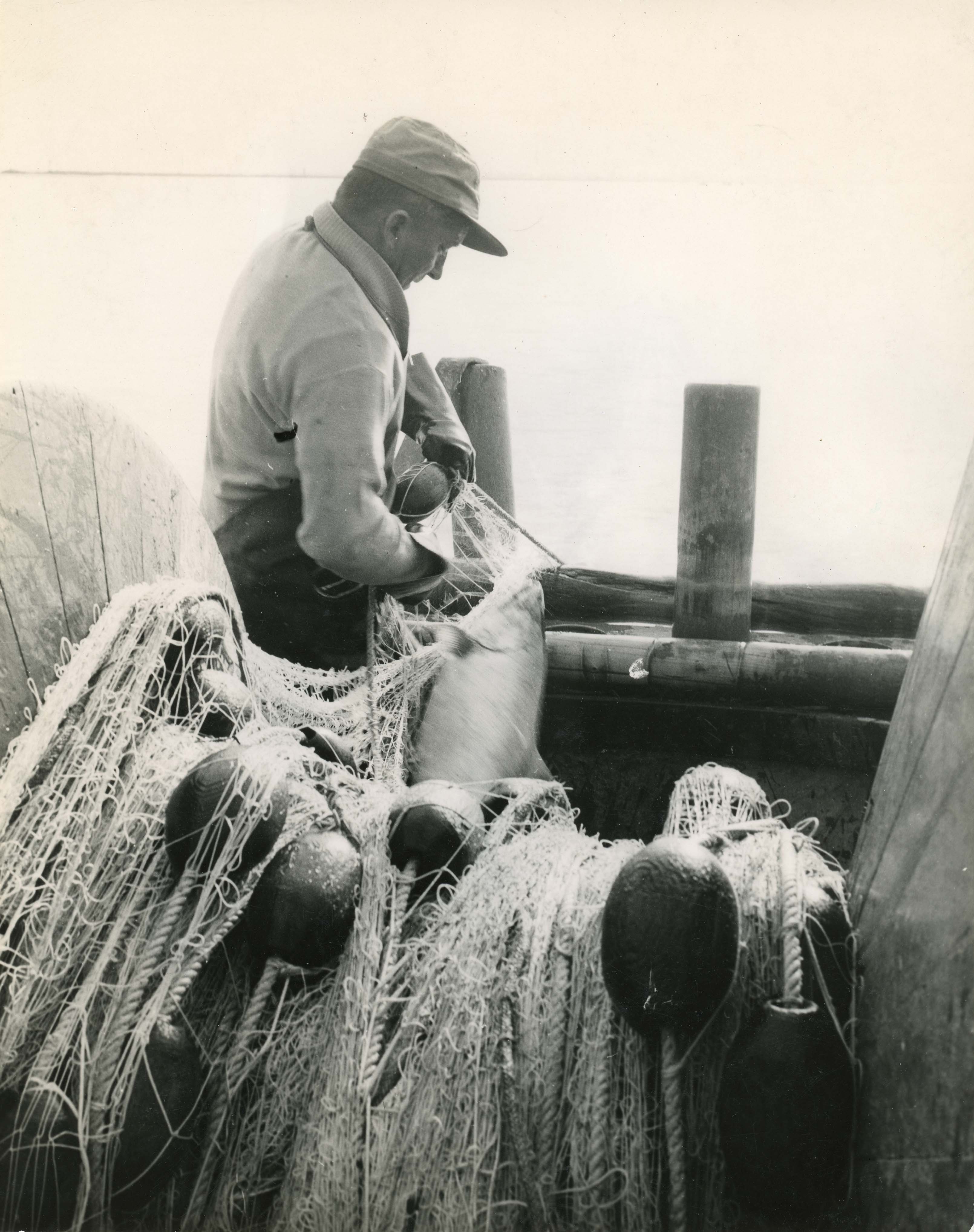 fishing industry  Outside the Box – The Richmond Archives Blog